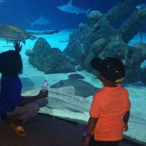 Meet your Posher, Olive